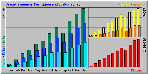 20101229access