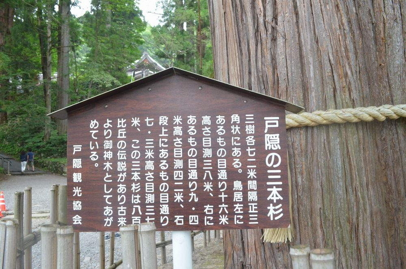 三本杉看板S