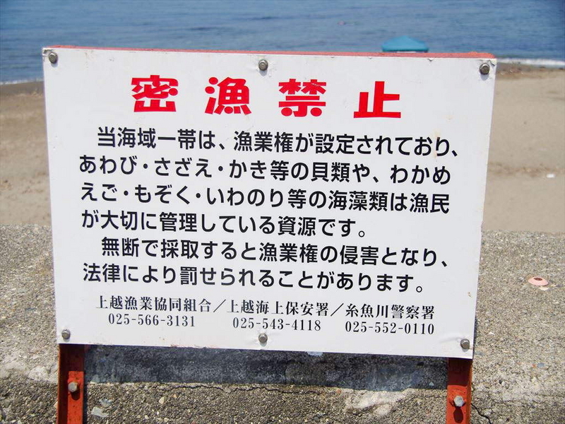 IMGP1271_R1