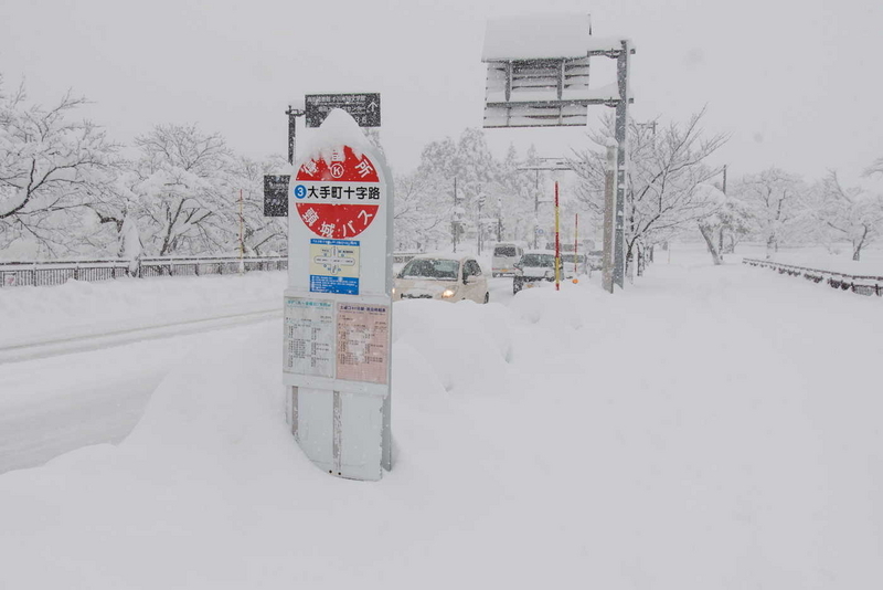 上越高田は一夜にして60cm超の積雪 県内大雪 - 上越タウンジャーナル