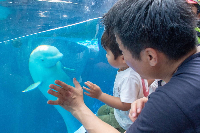 写真⑤