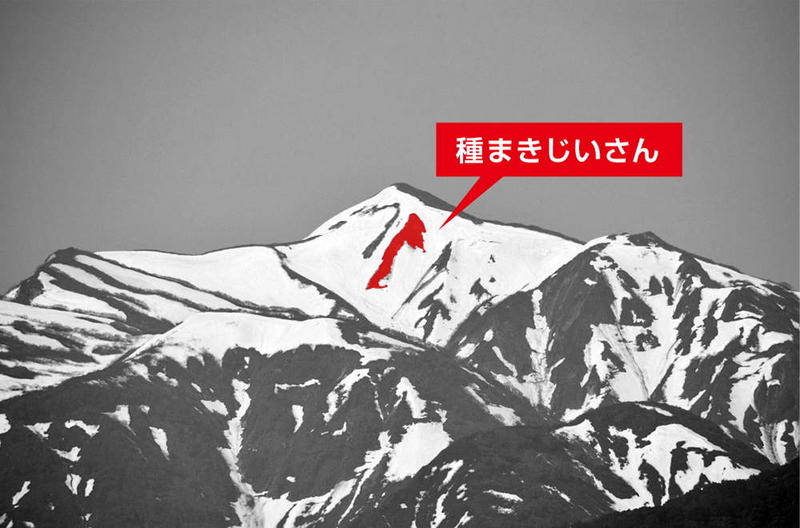 201706火打山たねまきじいさんmono