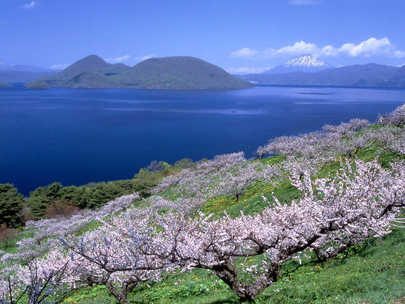 北海道写真②