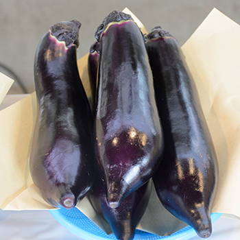 ナス 楽天市場】高知県産 なす 茄子 なすび ナス 訳あり 500g 国産 わけあり