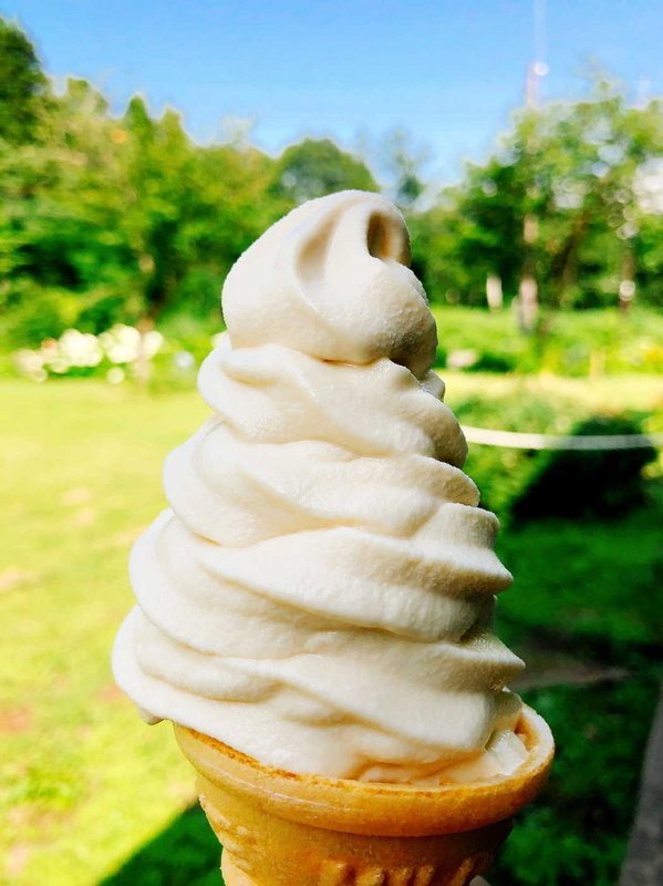 そばつゆソフト