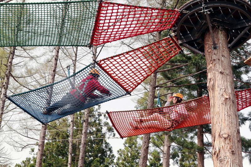 Tree Adventure 04