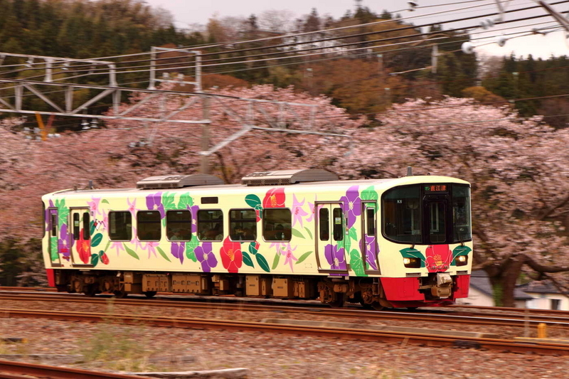 3市の花号(2)