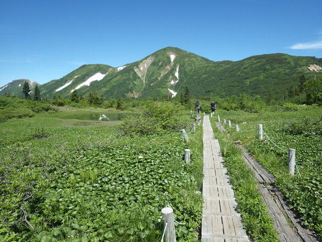 c3153816224