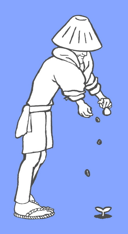 種まき青きりぬき