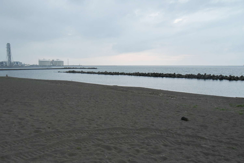 20200813-DSC_3082