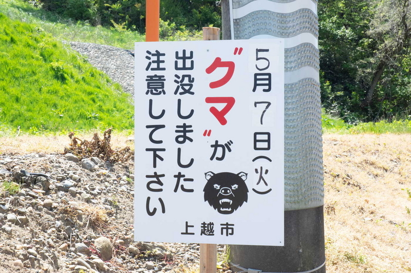 クマ目撃注意看板