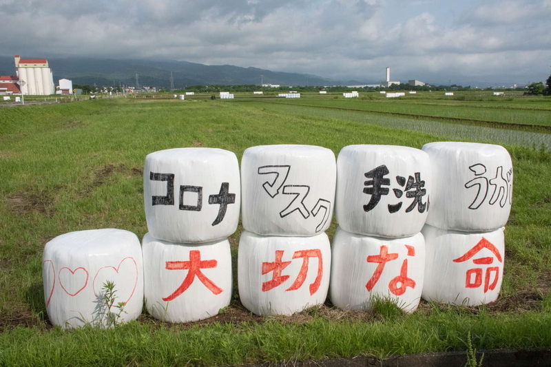 牧草ロール６