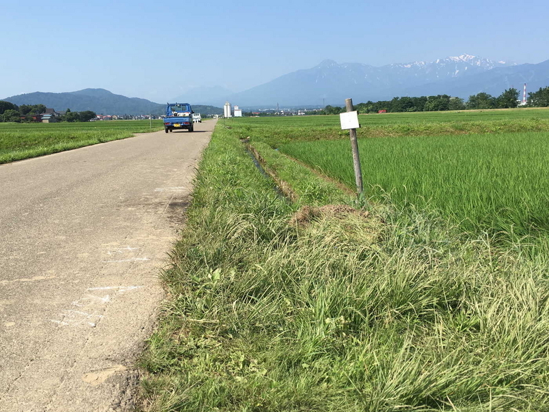 2017-07-08 北条事故現場