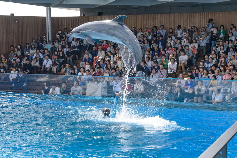 市民先行公開１