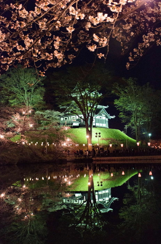 きれい！」の声飛び交う 高田公園の “日本三大夜桜” 大にぎわい - 上越