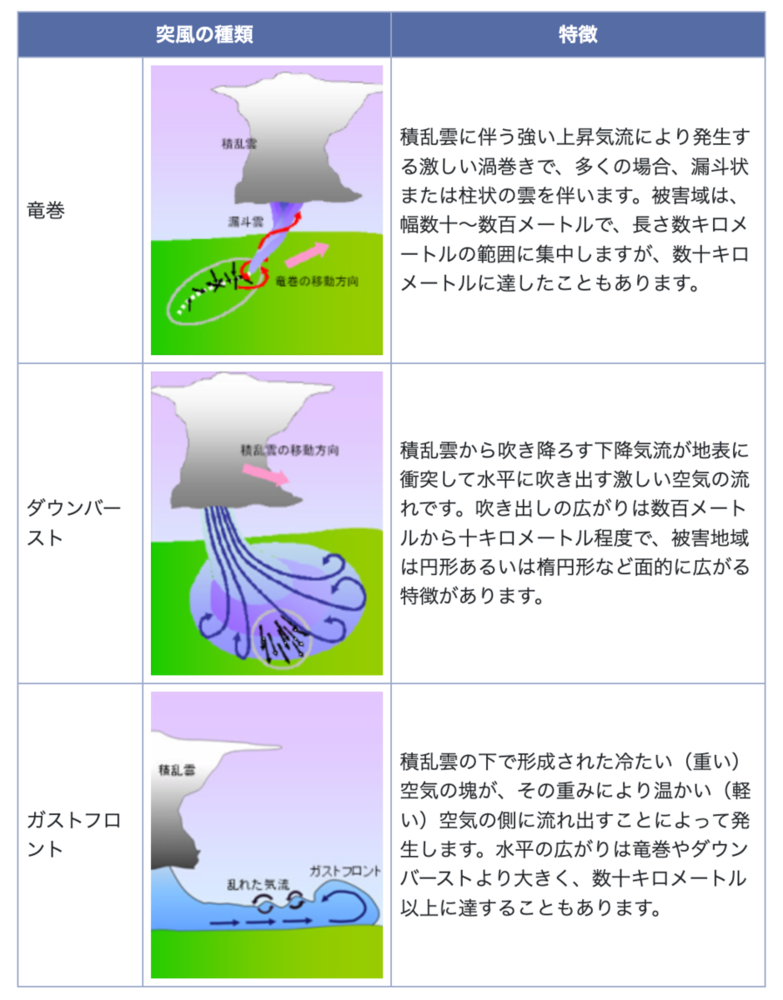 上越市三和区などの突風「ダウンバースト」か「ガストフロント」 新潟地方気象台が発表 - 上越タウンジャーナル