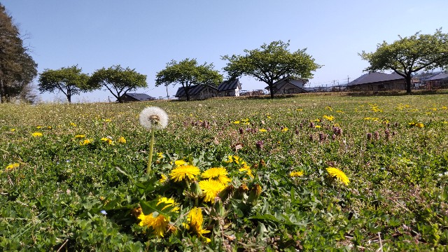f:id:jog17:20240413100252j:image