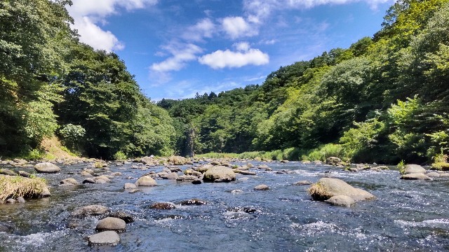 f:id:jog17:20240818232821j:image