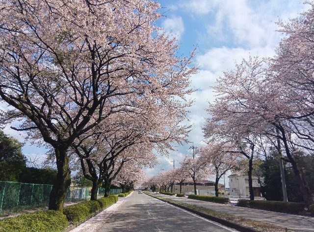 f:id:jog17:20250418162212j:image