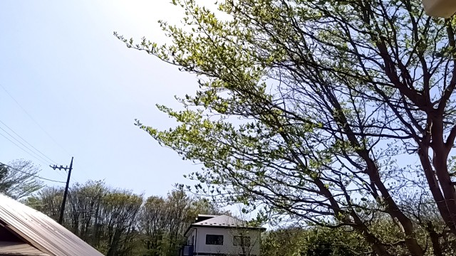 f:id:jog17:20250425124334j:image
