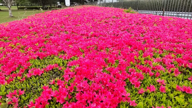 f:id:jog17:20250425132357j:image