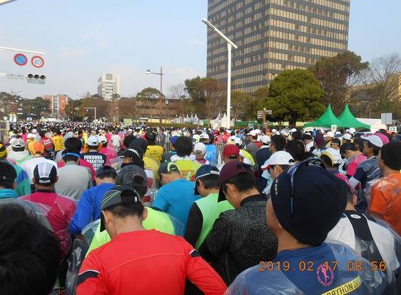 f:id:jogrun032:20190218101450j:plain f:id:jogrun032:20190218101450j:plain