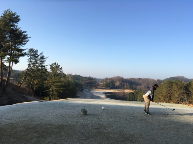 f:id:joh_t:20190208234034j:plain f:id:joh_t:20190208234034j:plain