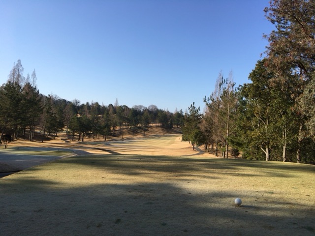 f:id:joh_t:20190208234228j:plain f:id:joh_t:20190208234228j:plain
