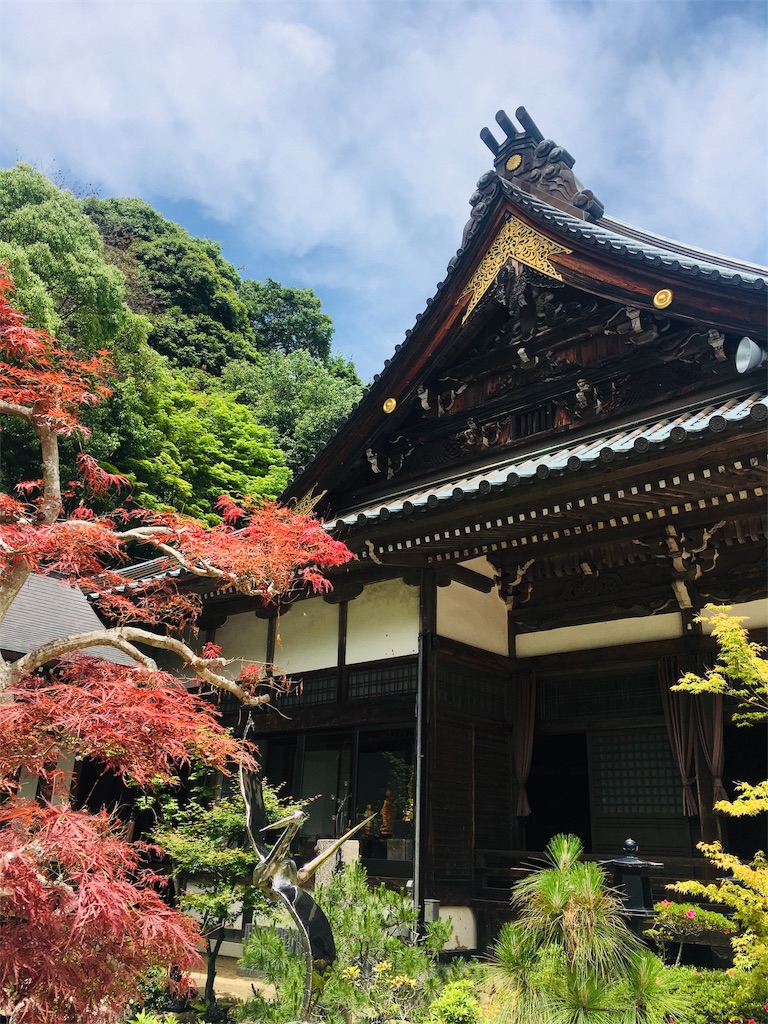 f:id:johan8401018:20190529200823j:image