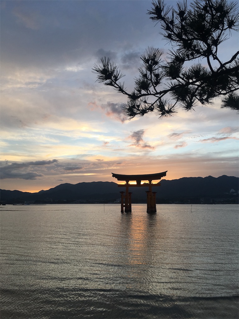 f:id:johan8401018:20190529200921j:image