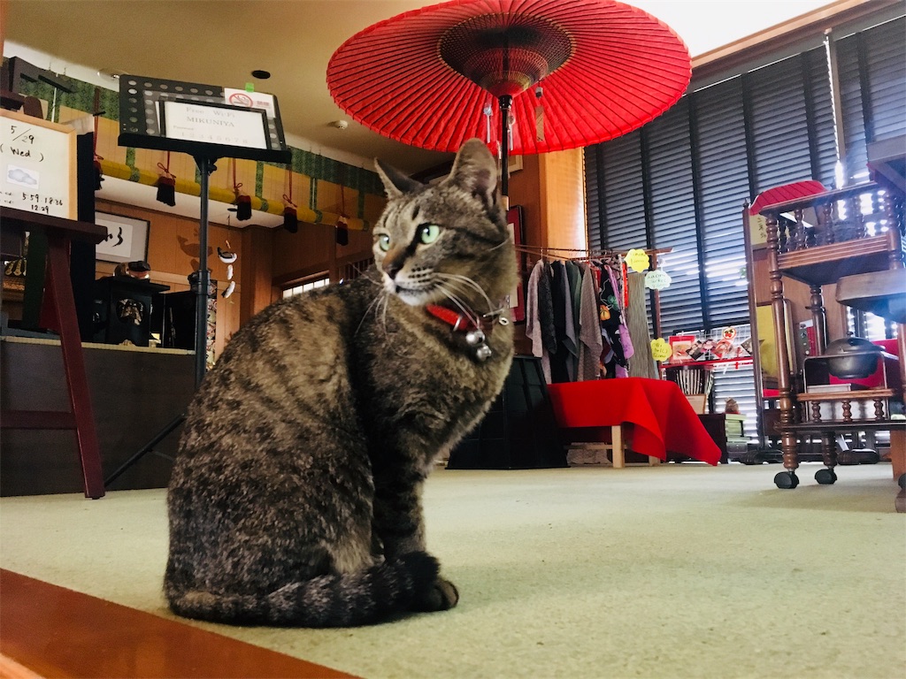 f:id:johan8401018:20190529200949j:image