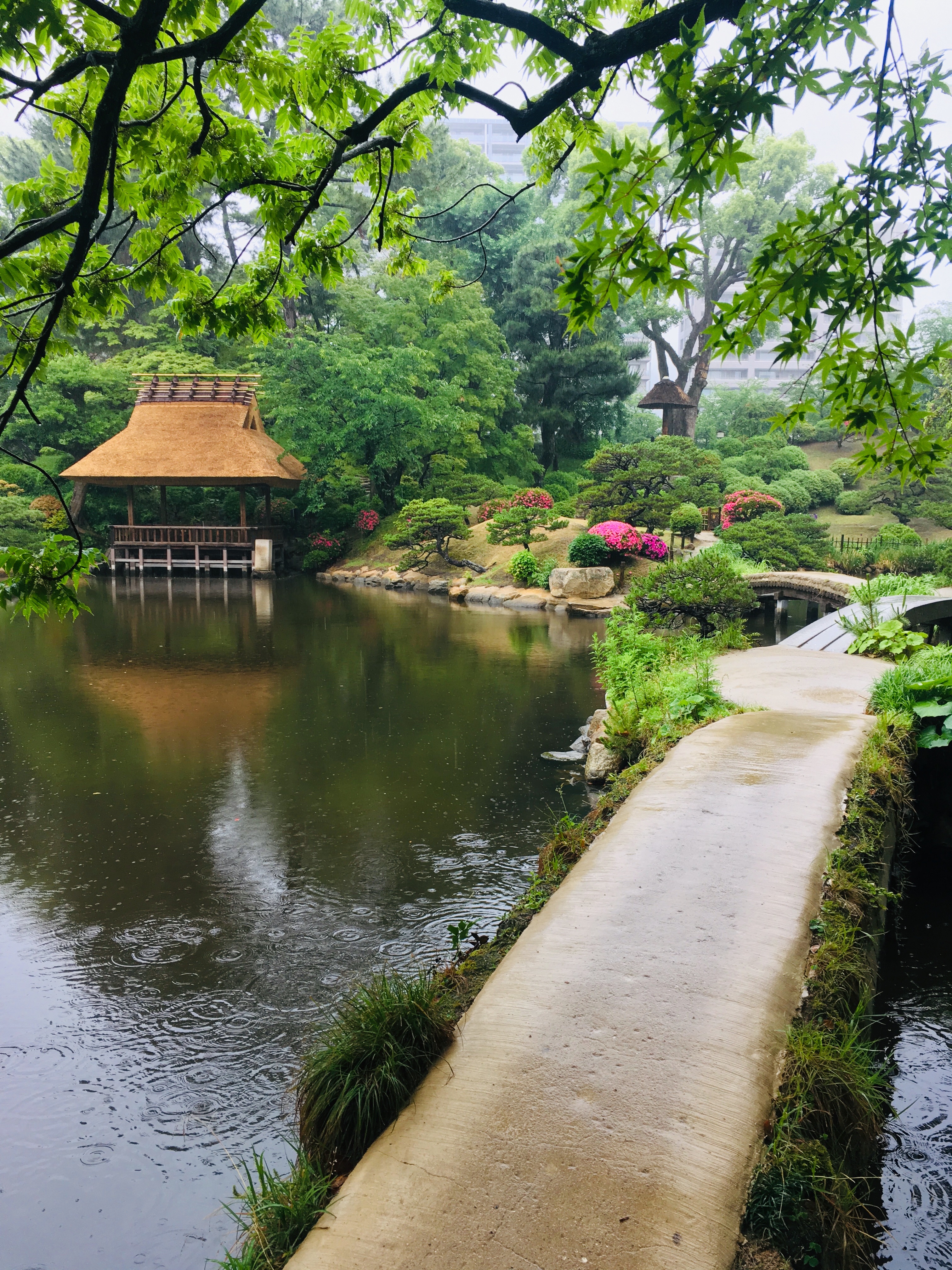 f:id:johan8401018:20190529200959j:image