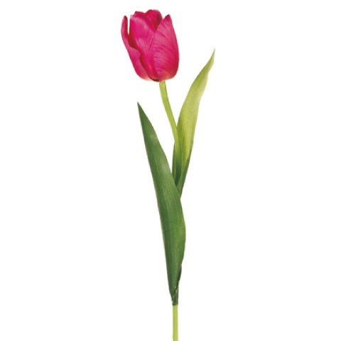 f:id:johannesrome:20210504233924j:plain