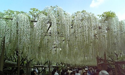 f:id:john2001:20080504113228j:image:left
