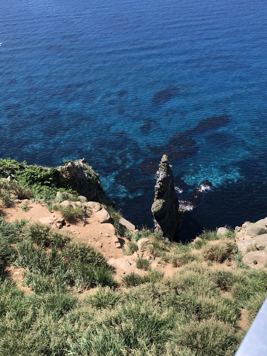 f:id:john_birdswatch:20190902220316j:plain f:id:john_birdswatch:20190902220316j:plain