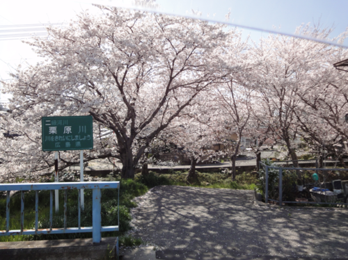 20110414134829