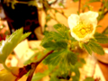 20120301221025