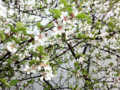 20120407004737