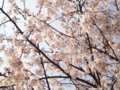 20120409234042