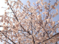 20120409234103