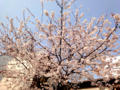 20120409234126