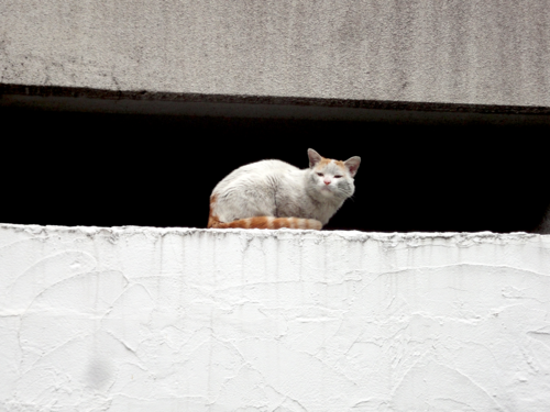 20120602220711