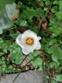 20130323030413
