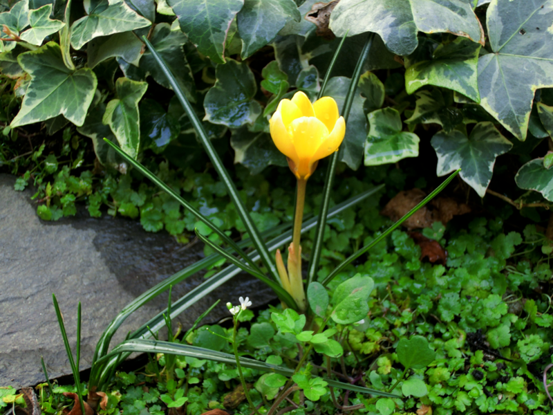 20130323030434