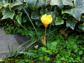 20130323030434