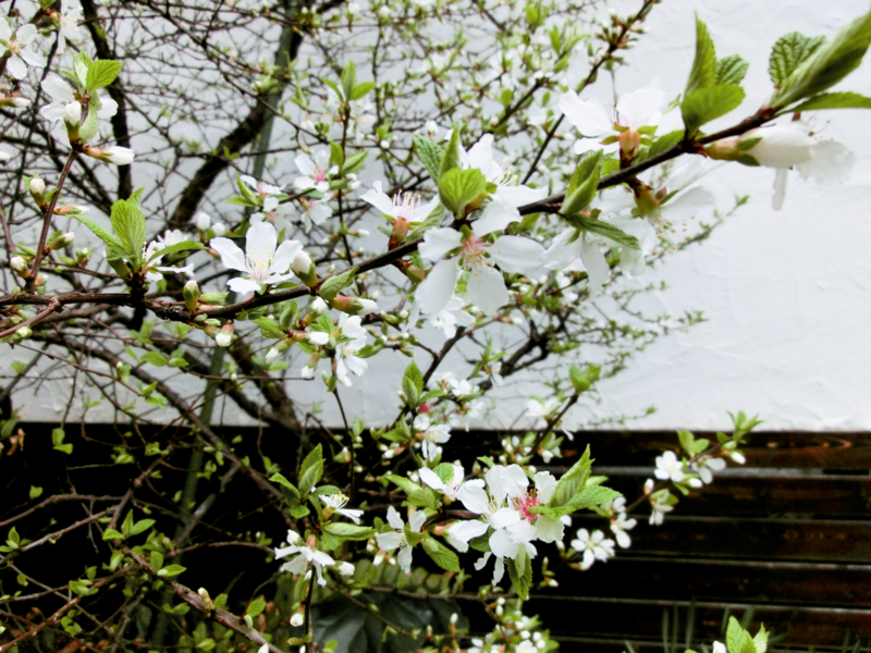 20130323030439
