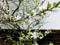 20130323030439