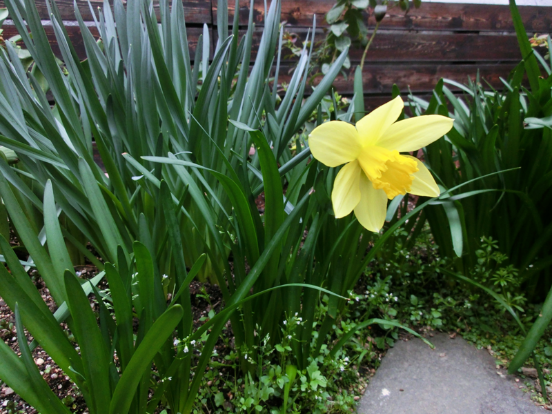 20130323030445