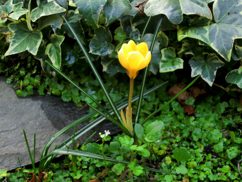 20130323200709
