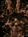 20130331002735